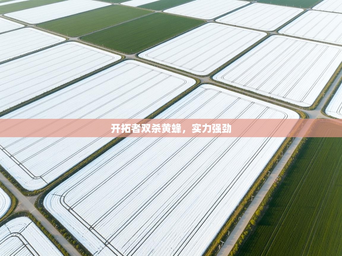 开拓者双杀黄蜂，实力强劲  第1张